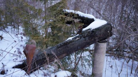 In the Dead of Winter + an overlooked detail! - DSC03227.JPG