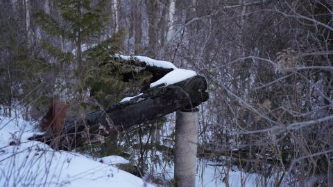 Exposed Foundational Remains