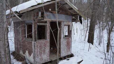 In the Dead of Winter + an overlooked detail! - DSC03203.JPG