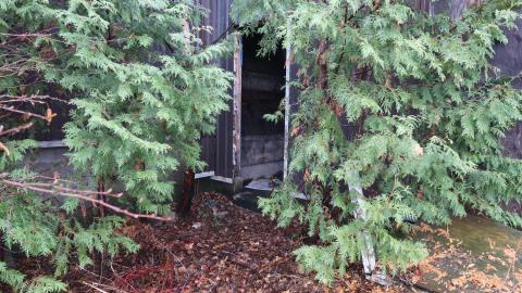 Small find - 633F7A44-333A-46AE-85DB-34A431C8D8AB.jpeg