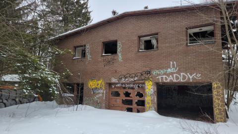 Stay Golden - 20230312_113555.jpg