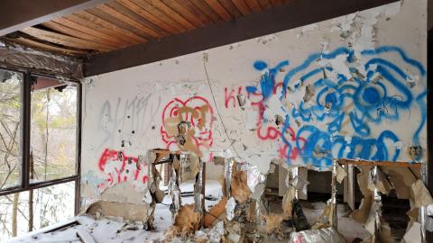 Photo from Stay Golden