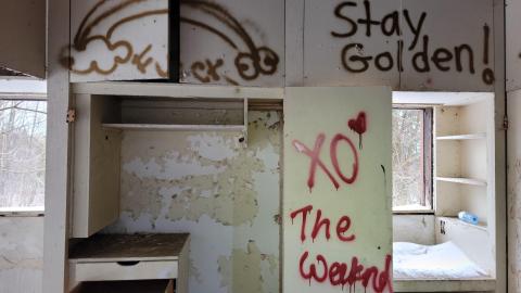 Stay Golden - 20230312_114443.jpg