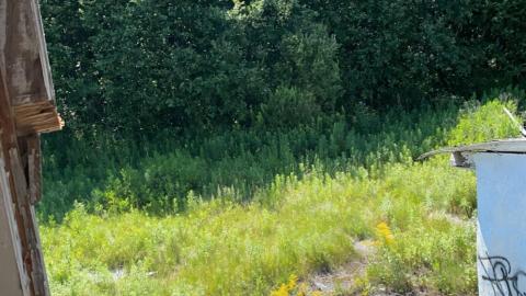 Summer 2022 - IMG_1721.JPG