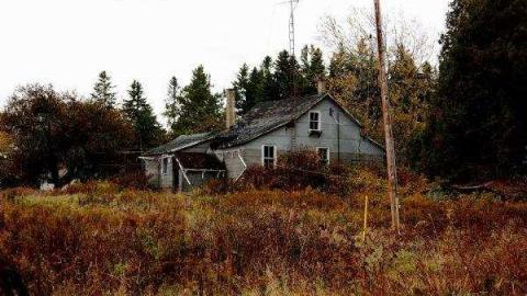 Horseshoe Hill Road near Star photo 5