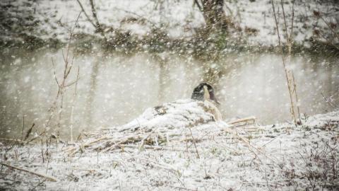 Rediscovery / New Identity - IMG_1356-SharpenAI-focus-2X.jpg