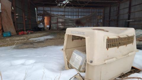 One Step to Injury - 20230317_173233.jpg