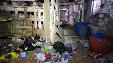 One Step to Injury - 20230317_173847.jpg