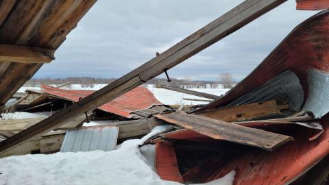 One Step to Injury - 20230317_174006.jpg