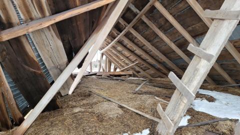 One Step to Injury - 20230317_174011.jpg