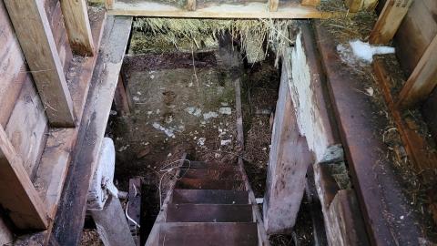 One Step to Injury - 20230317_174055.jpg