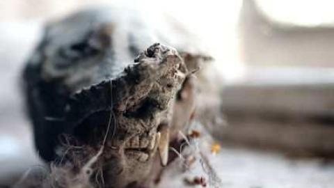 March 2012 - The-Lapp-House44.jpg