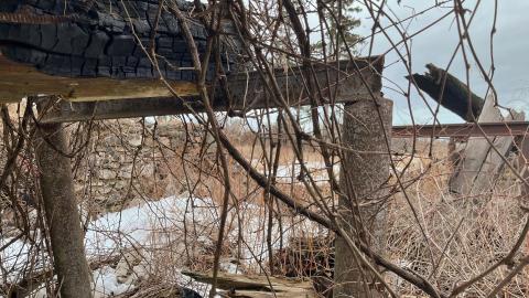 Vines - 03/23 - IMG_1573.jpg