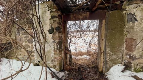 Vines - 03/23 - IMG_1576.jpg