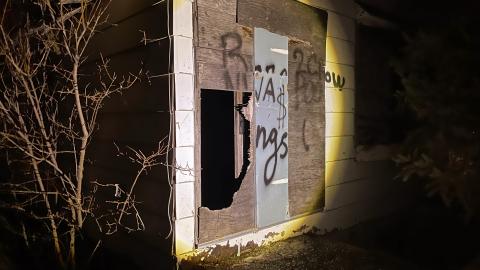 Photo from Cotton Candy - 03/23