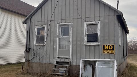 The Lonely Goose photo 4