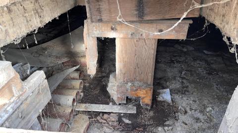 The Lonely Goose photo 2