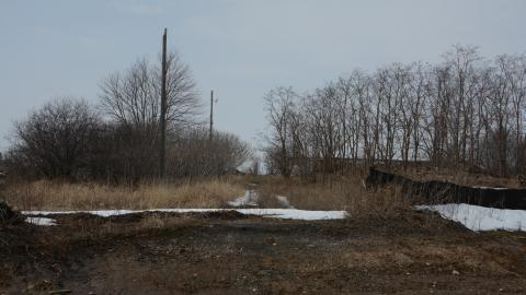 "And Then Some" - DSC_9135.JPG