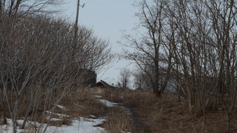 "And Then Some" - DSC_9148.JPG