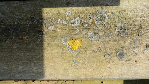 "And Then Some" - DSC_9346.JPG