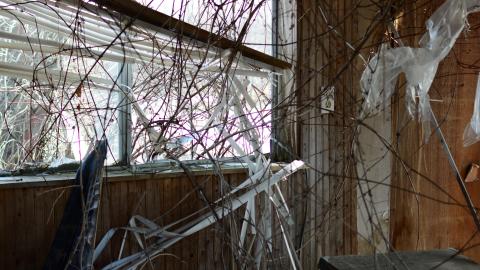 "And Then Some" - DSC_9349.JPG