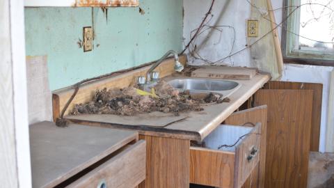 "And Then Some" - DSC_9358.JPG