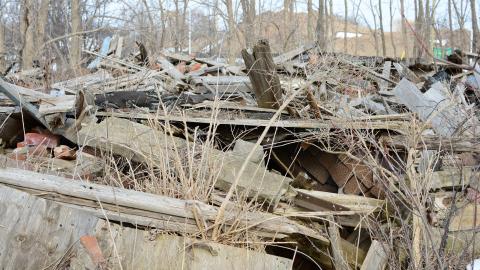 "And Then Some" - DSC_9394.JPG