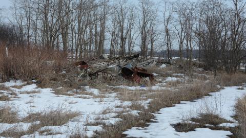 "And Then Some" - DSC_9182.JPG