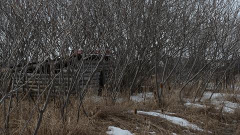 "And Then Some" - DSC_9152.JPG