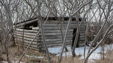 "And Then Some" - DSC_9156.JPG