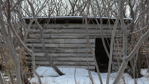 "And Then Some" - DSC_9158.JPG