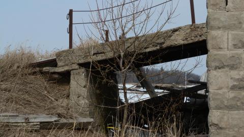 "And Then Some" - DSC_9219.JPG