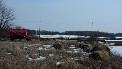 "And Then Some" - DSC_9277.JPG