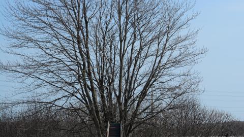 "And Then Some" - DSC_9282.JPG