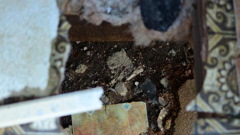 "And Then Some" - DSC_9352.JPG