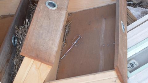 "And Then Some" - DSC_9359.JPG