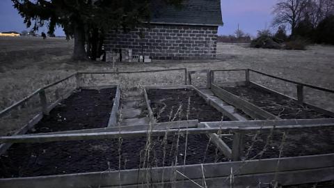 Cooped Up - Tecumseh, Ontario