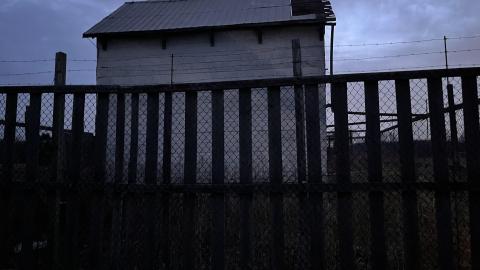 Cooped Up - BB66AD78-C1BD-4EB4-A268-E25BC154AA88.jpeg