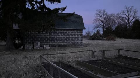 Cooped Up - AC9B8940-A0C6-4ACA-9416-2F5DD8608305.jpeg