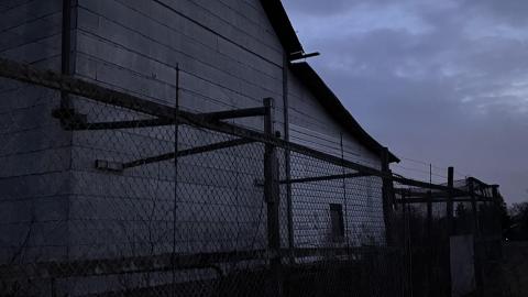 Cooped Up - E60B77E2-6EA4-43A0-B58D-6EB71BBE60AF.jpeg