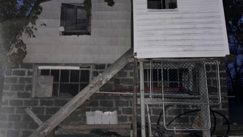 Cooped Up - F0B1E9A7-9729-4324-BD8C-1F64BE369963.jpeg