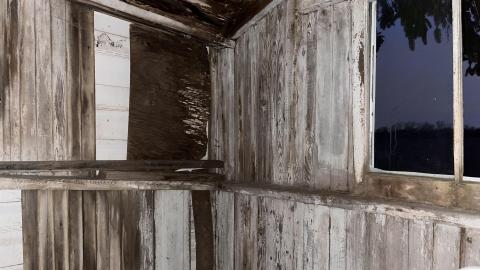 Cooped Up - C6B7A62B-6232-4818-9913-2E2394126C6B.jpeg