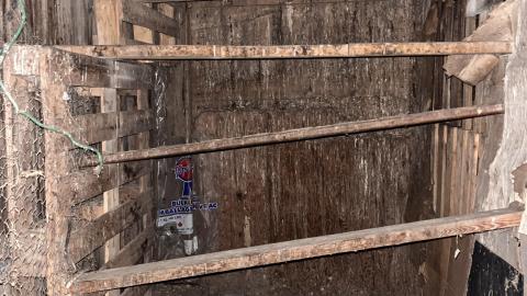 Cooped Up - 6F60A795-807B-403E-9BB8-9EFC97AA1093.jpeg