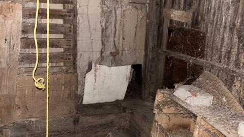 Cooped Up - 2747286C-54F4-4FF0-9423-118A4303ABD1.jpeg