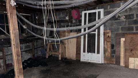 Cooped Up - AAED65ED-D1A4-4547-B41F-249BA6585F2D.jpeg