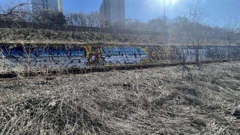 Railway - C823F670-F8C2-49A7-B5CA-3274E3E9C624.jpeg