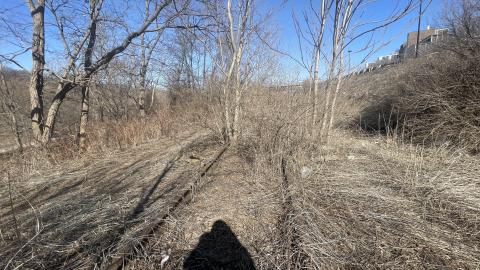 Railway - 4938DEE7-7409-41C0-A34E-954CDE5168D2.jpeg