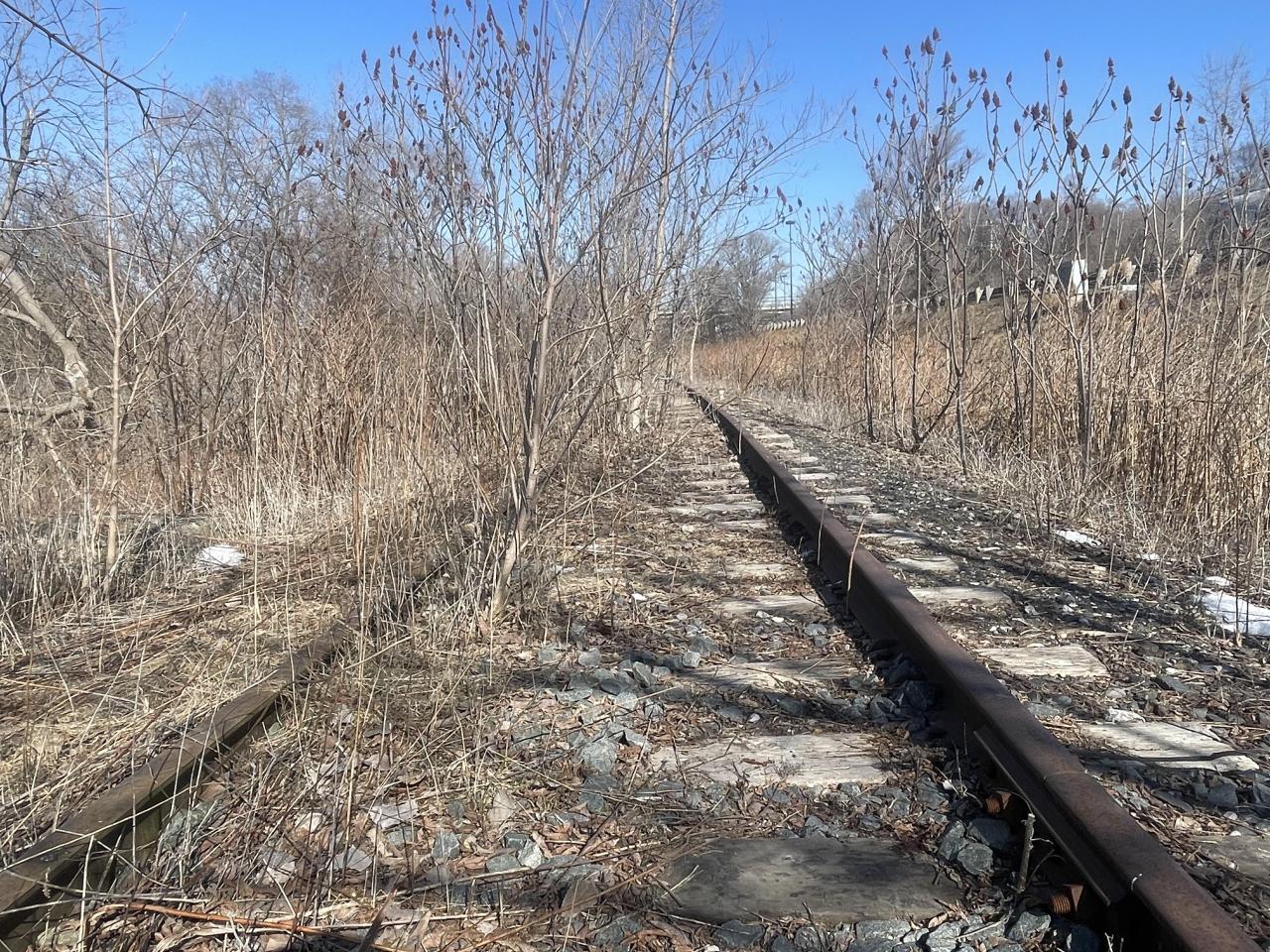 Railway - E13B74C9-6965-45B7-AC83-672528293362.jpeg