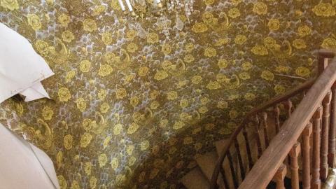 Chair-y Decayed - February 2023 - IMG_3648.JPG