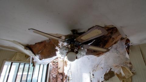 Chair-y Decayed - February 2023 - IMG_3666.JPG